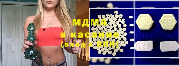 индика Алексин