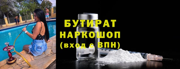 индика Алексин