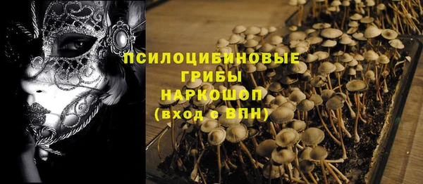 прущие крисы Няндома