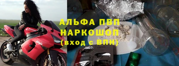 индика Алексин