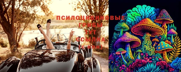 ПСИЛОЦИБИНОВЫЕ ГРИБЫ Алзамай