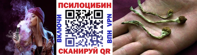 Галлюциногенные грибы Psilocybine cubensis  магазин    Лермонтов 