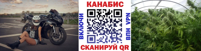 купить наркотики сайты  Лермонтов  кракен маркетплейс  Канабис ГИДРОПОН 
